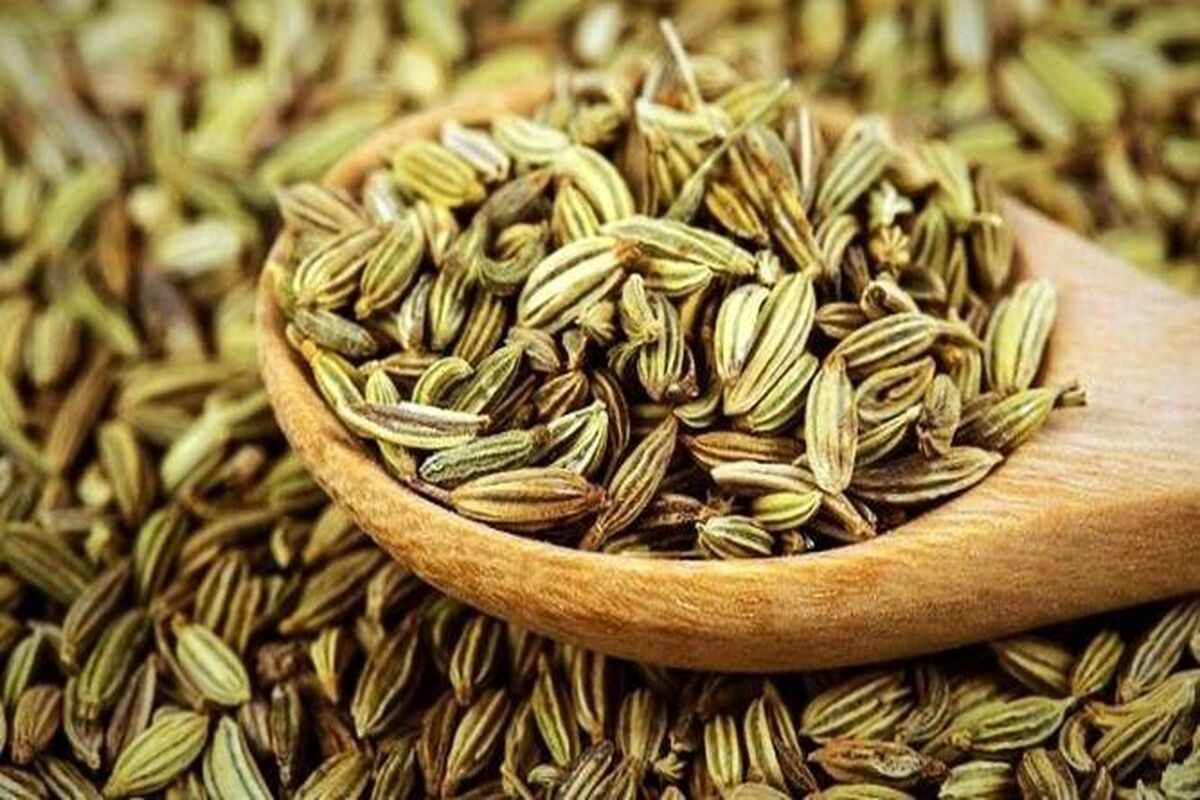 معرفی خواص فوق‌العاده زیره
