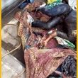 کشف جسد مردی پیچیده در فرش/ عکس ۱۸+