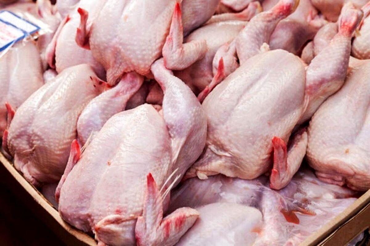 هشدار مرغداران/ ماجرا چیست