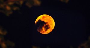 همنشینی زهره و مشتری در ایران قابل روئیت است+زمان وقوع
