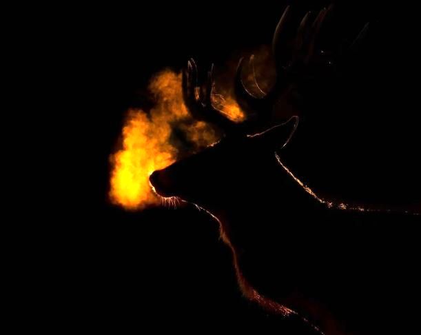 تصاویر؛ برندگان مسابقه عکاسی علمی انجمن سلطنتی ۲۰۲۵