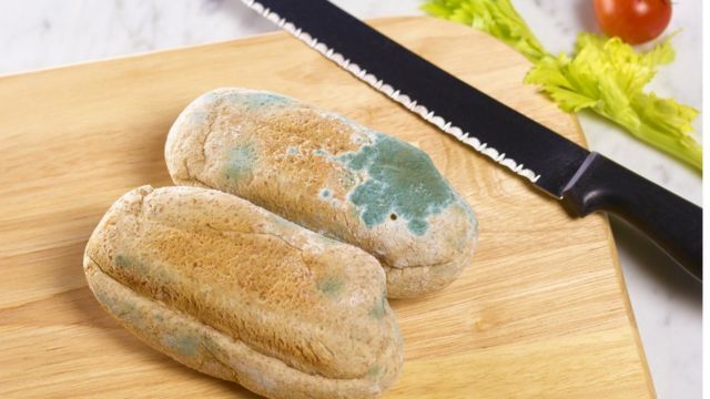 اگر اتفاقی خوراکی کپک زده بخوریم چه اتفاقی در بدن می‌افتد؟/ حتی کپک را هم بو نکنید 