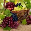 این میوه خودش یک «اَبَر غذا» است