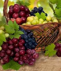 این میوه خودش یک «اَبَر غذا» است