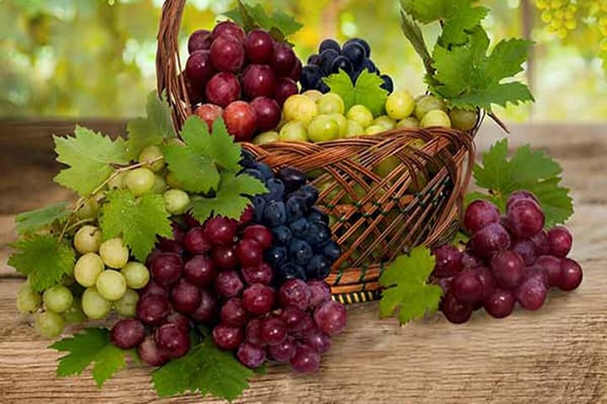 این میوه خودش یک «اَبَر غذا» است