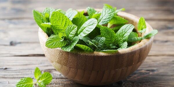 سیگار کشیدن در فضای باز ممنوع شد
