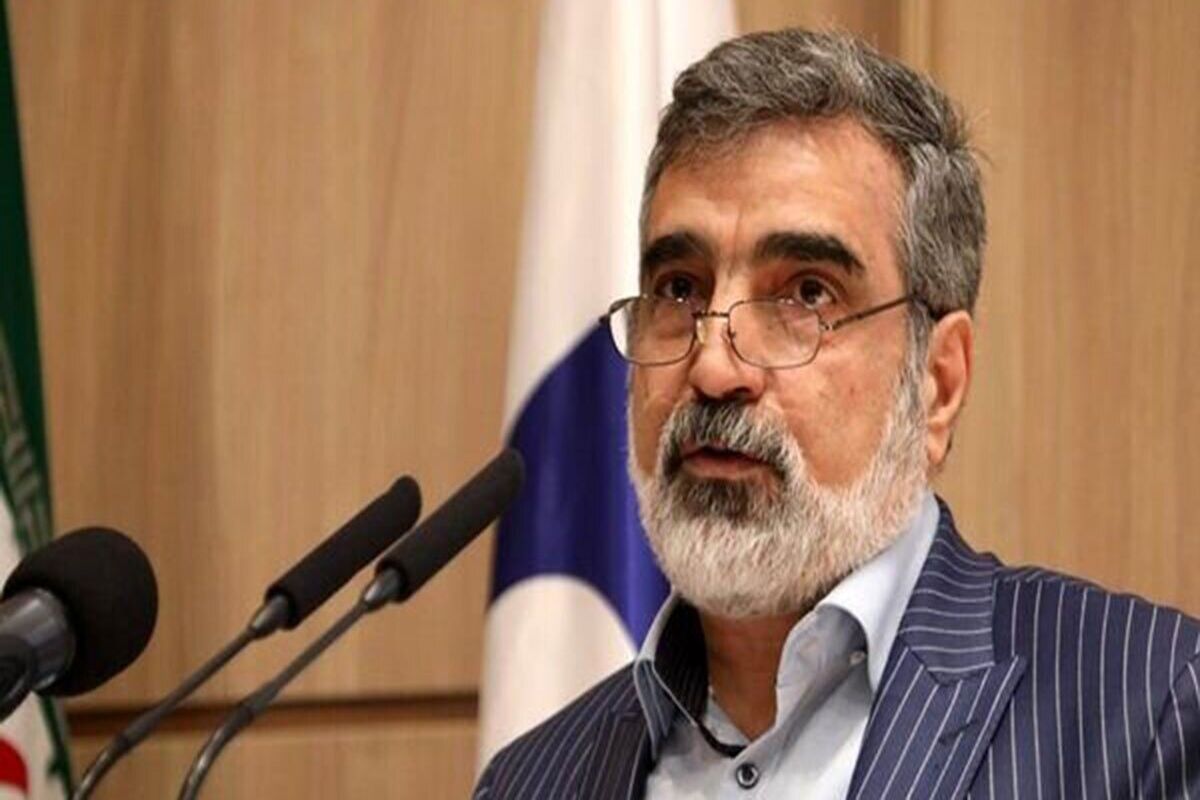 سخنگوی سازمان انرژی اتمی شرط لغو تحریم ها را اعلام کرد