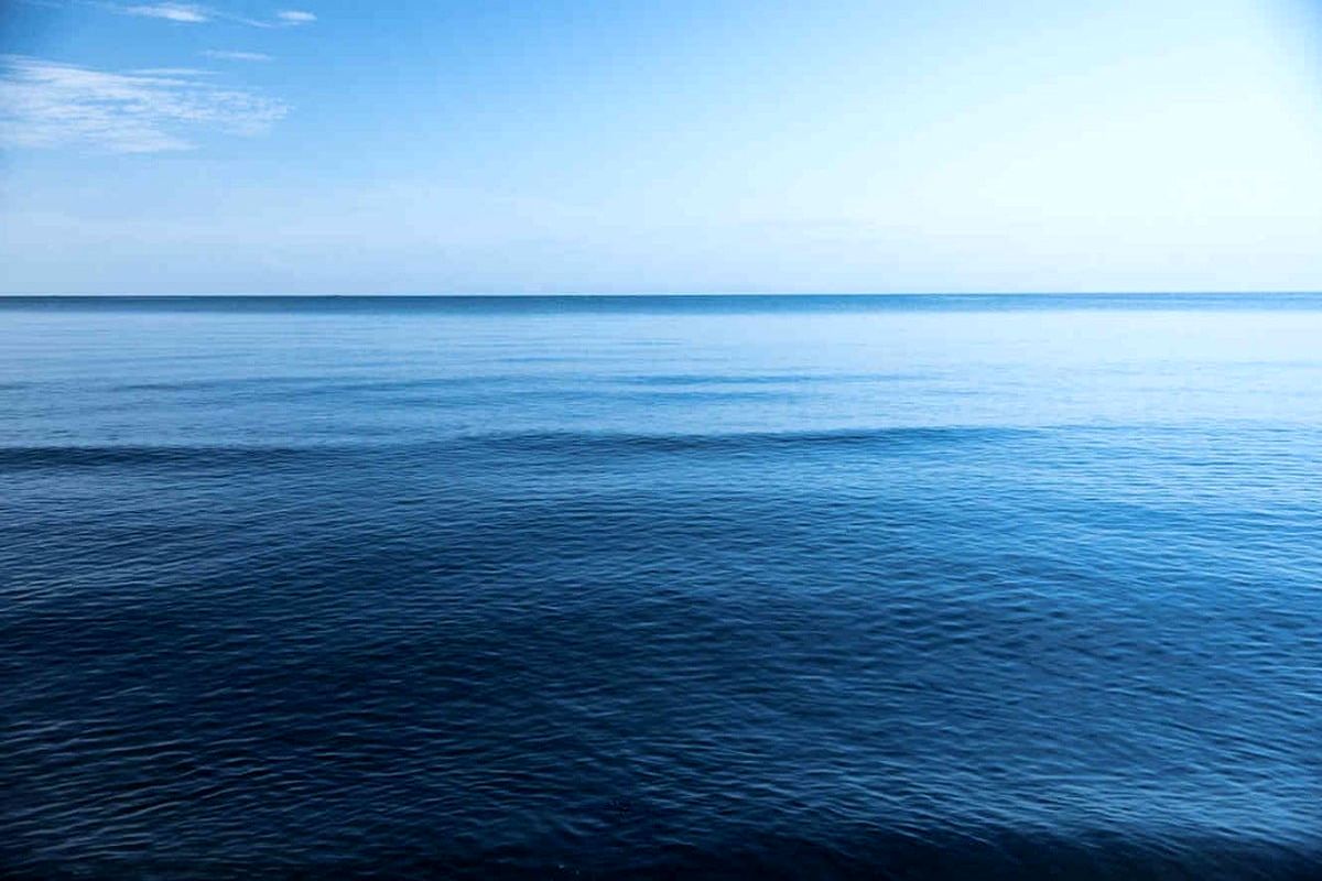 مخوف‌‌ترین ماهی اقیانوس آرام+ عکس