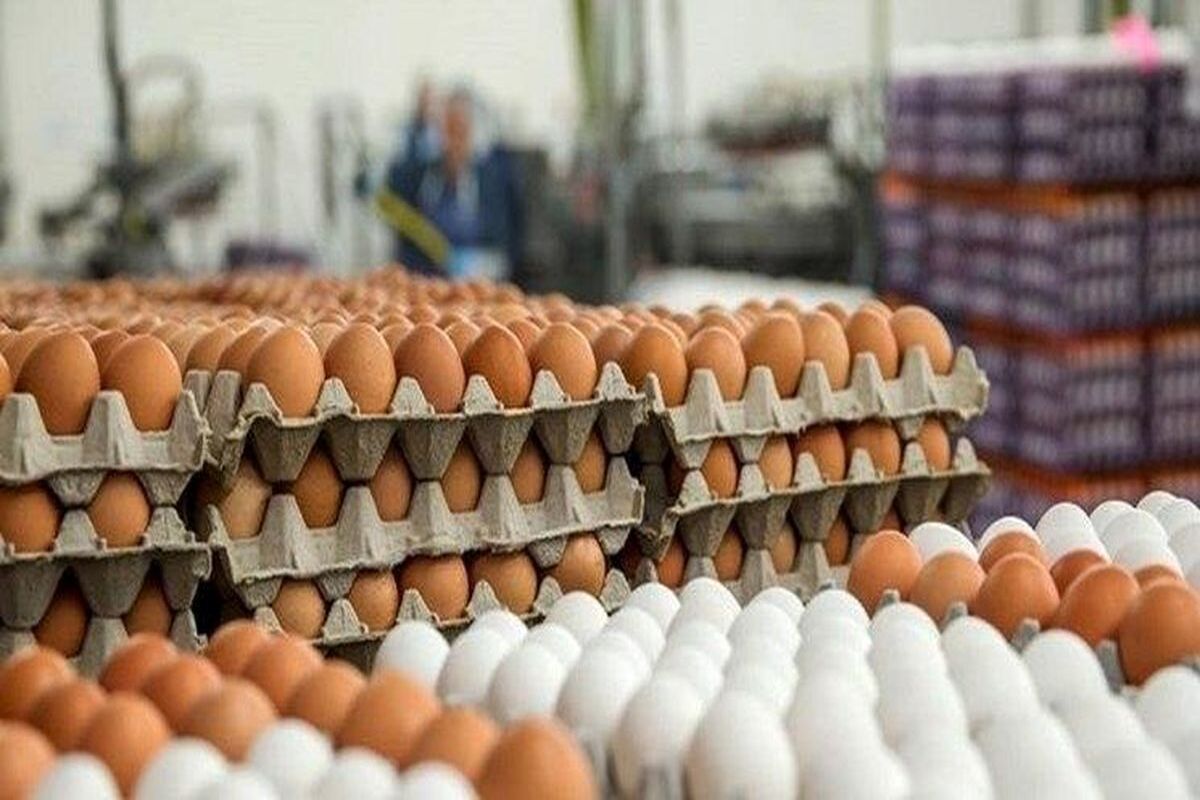فواید عجیب و باورنکردنی پوست تخم مرغ!