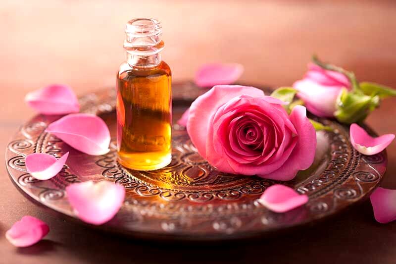تاثیر شگفت‌ انگیز «بو» در به یاد آوردن خاطرات