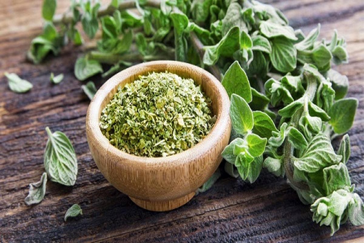 درمان سرماخوردگی با روغن پونه کوهی