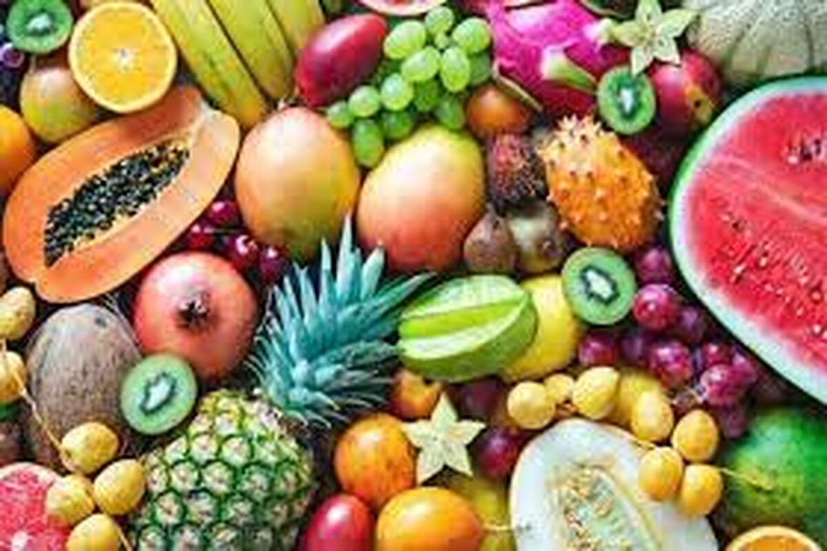 آخرین قیمت میوه در میادین میوه و تره بار 