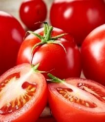 گوجه ارزان شد