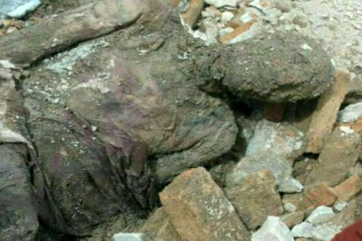 کشف یک مومیایی عجیب که تعجب همگان را در بر داشت!+عکس