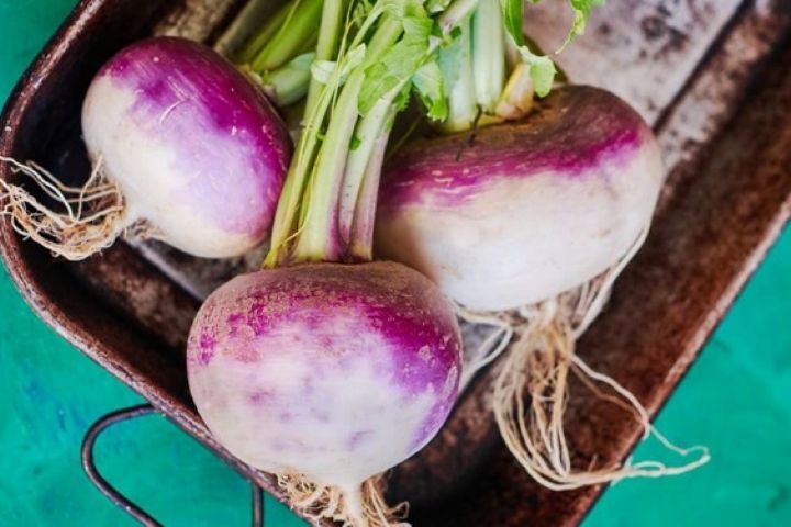 خواص ضد سرطانی شلغم را بیشتر بشناسید