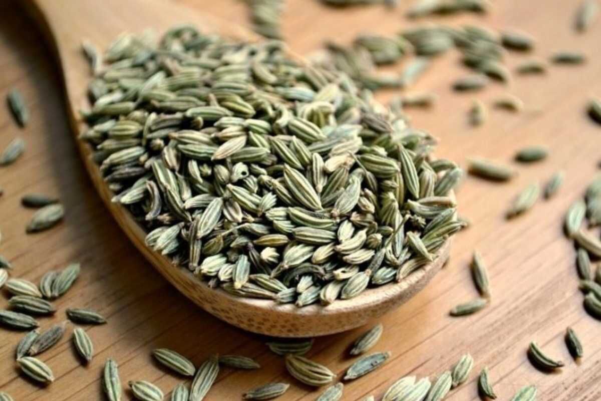فواید روغن رازیانه برای مو