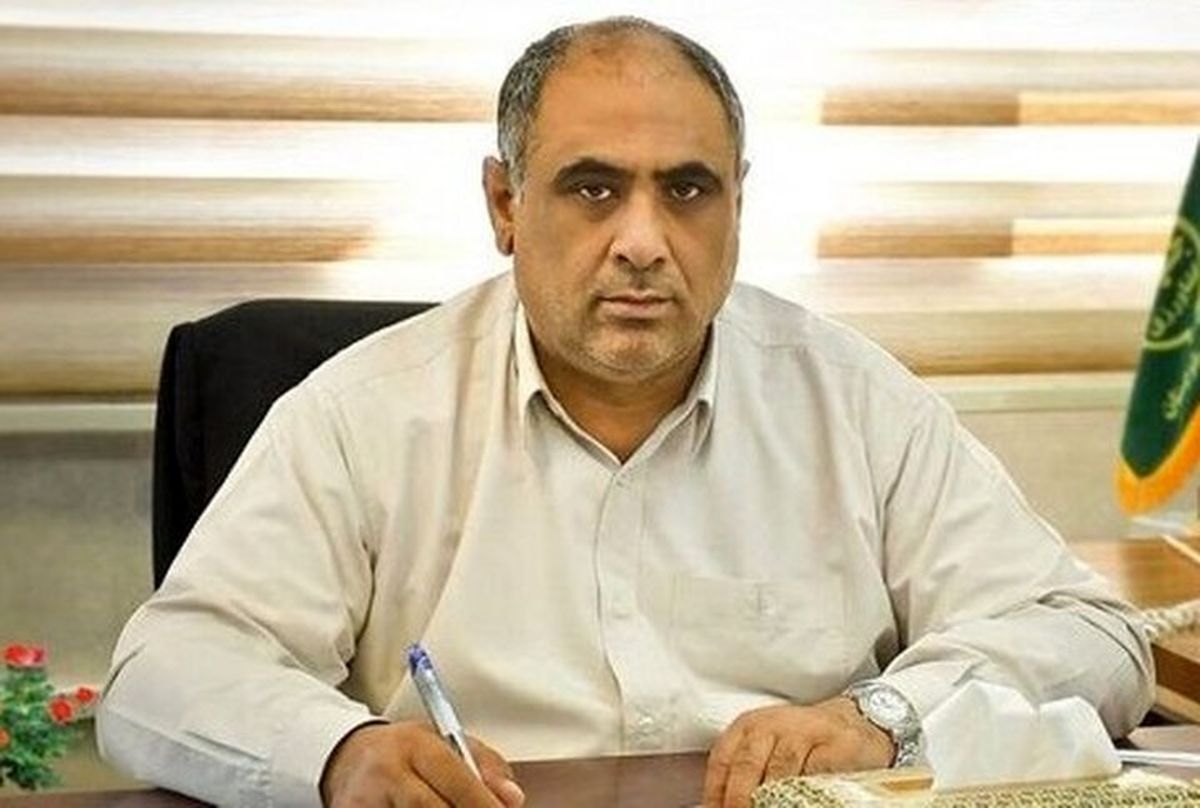 خبر خوش وزیر کشاورزی درباره  واریز مطالبات گندمکاران