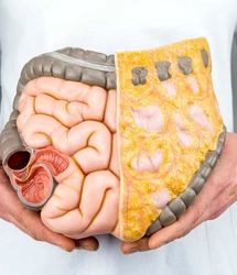 بهترین ویتامین‌ها برای تقویت دستگاه گوارش را بشناسید   