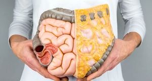 این خوراکی مخصوص کسانی که است که نگران گوارش خود هستند