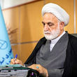 رئیس قوه قضائیه: با هیچ یک از همسایگان سر ستیز نداریم مگر برای ما مشکلاتی را پدید آورند