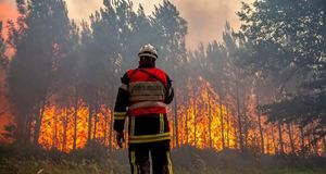 جزئیات آتش‌سوزی در جنگل‌های سپیدبرگ جوانرود