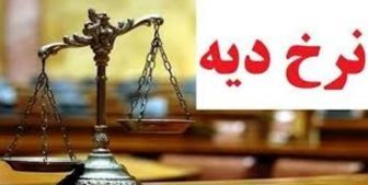 نرخ دیه در سال ۱۴۰۲ چقدر می شود؟