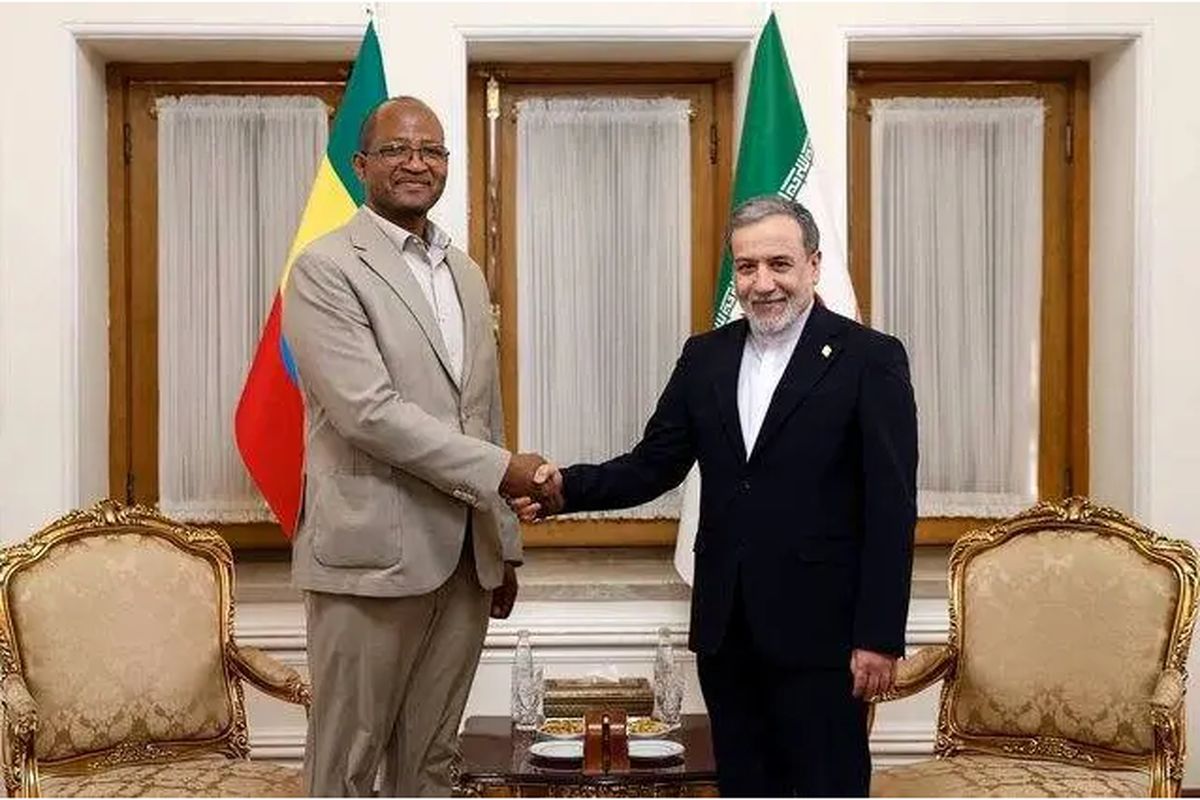 دیدار رئیس مجلس نمایندگان اتیوپی با عراقچی