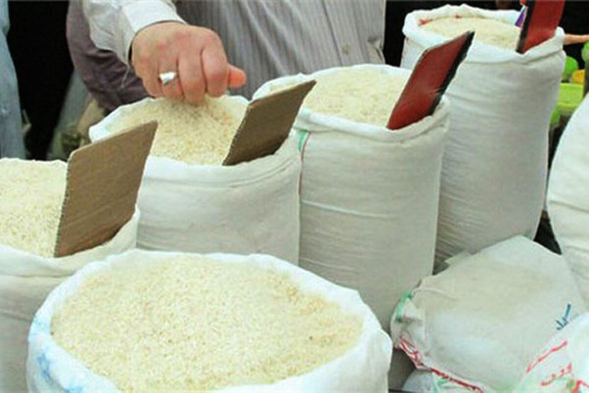 ظرف یک هفته قیمت برنج را به نرخ مصوب برمی‌گردانیم 