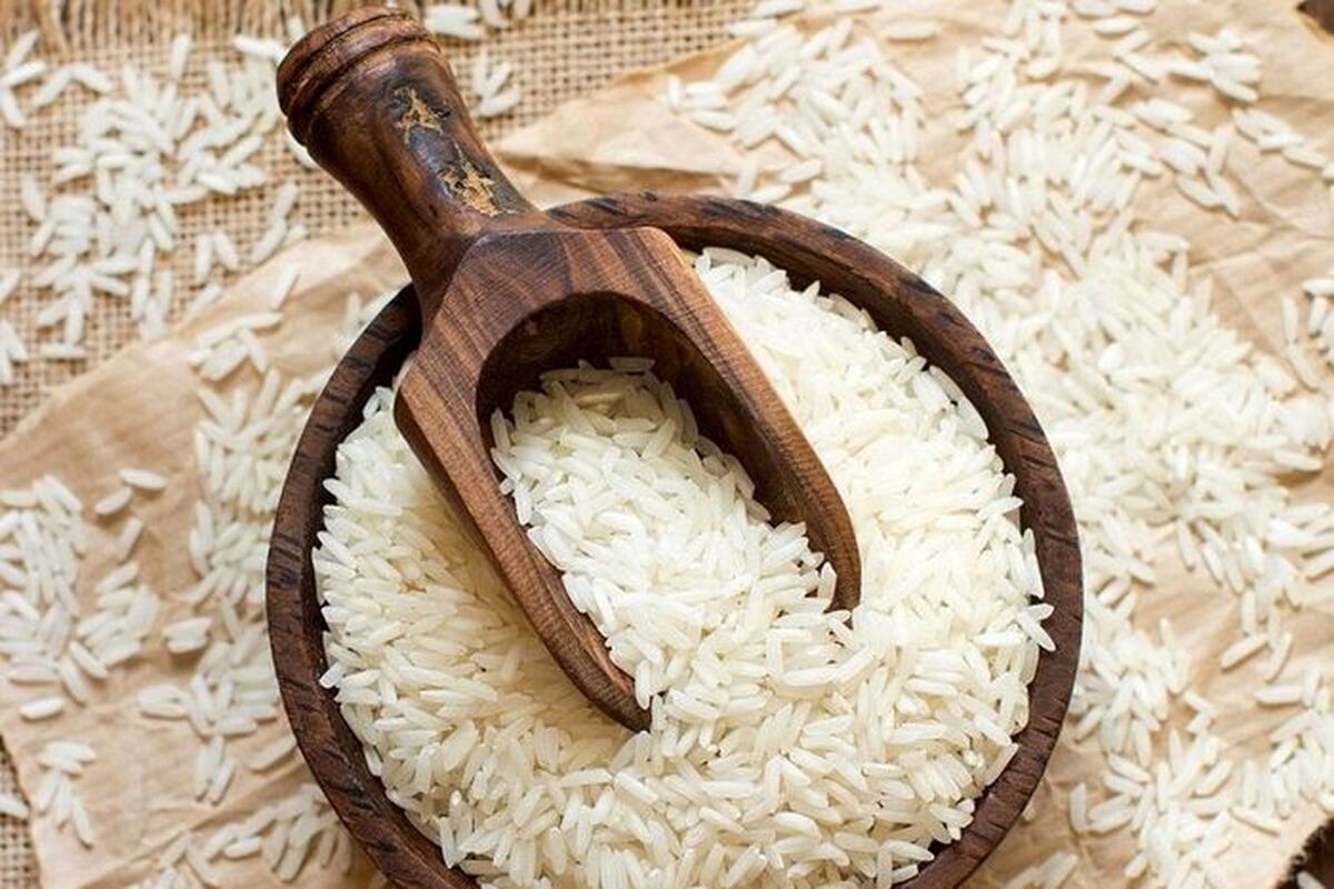برنج ارزان شد؟