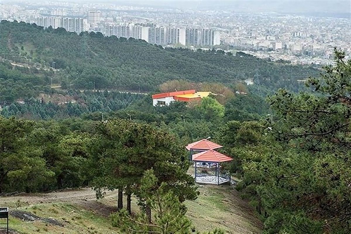 اعلام جزئیات ازنحوه ساخت هتل در بوستان‌های جنگلی تهران 

