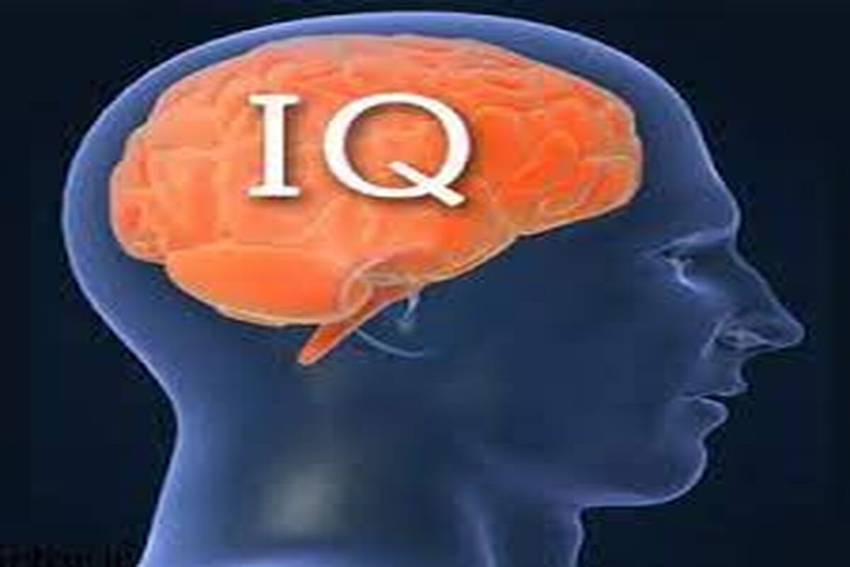 متوسط IQ جامعه ایرانی چقدر است؟