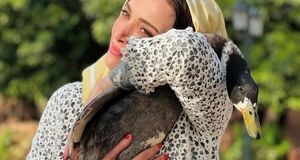 تغییر چهره باورنکردنی زری سریال سووشون در گذر زمان/ تصاویر