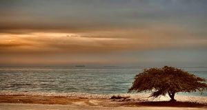 ماجرای لرزه‌های پیاپی در عسلویه چیست؟