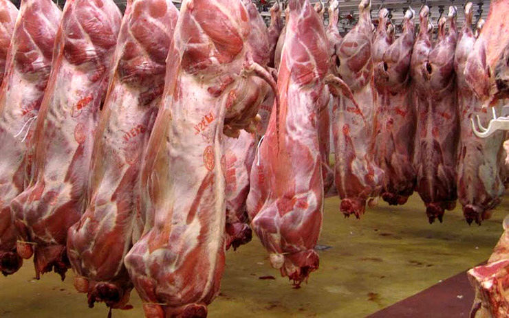 افسار قیمت گوشت کشیده شد +جدول قیمت