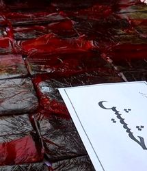 هشدار جدی پزشکی قانونی درباره مصرف گل و حشیش 