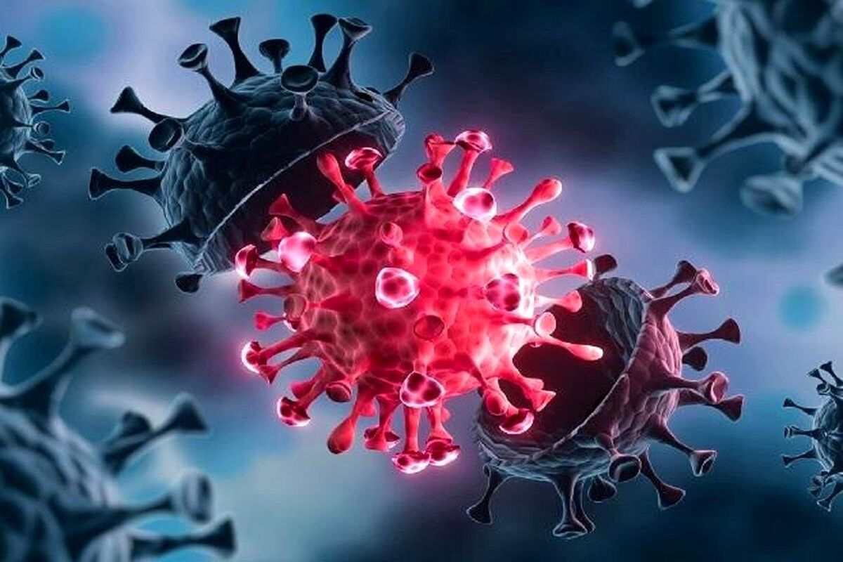 185 نفر از هموطنان‌مان قربانی کرونا شدند