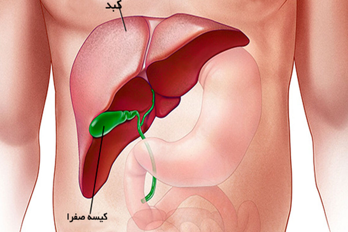 این نوع خارش را جدی بگیرید ، نشانه بیماری کبدی است
