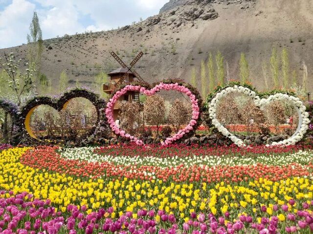 جشنواره لاله‌های آسارا کرج پلمپ شد