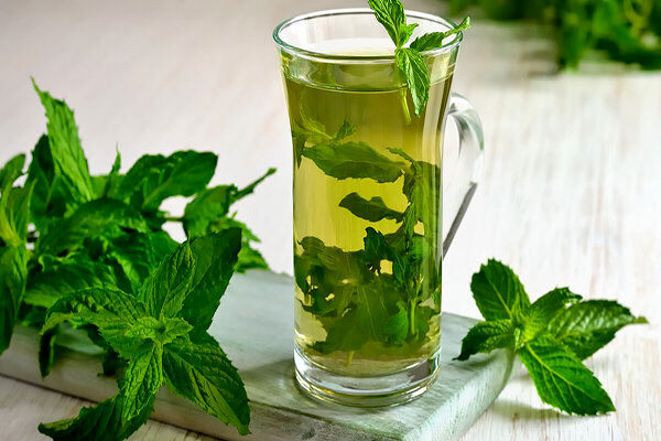 این افراد هرگز عرق نعناع و نعناع بخورند