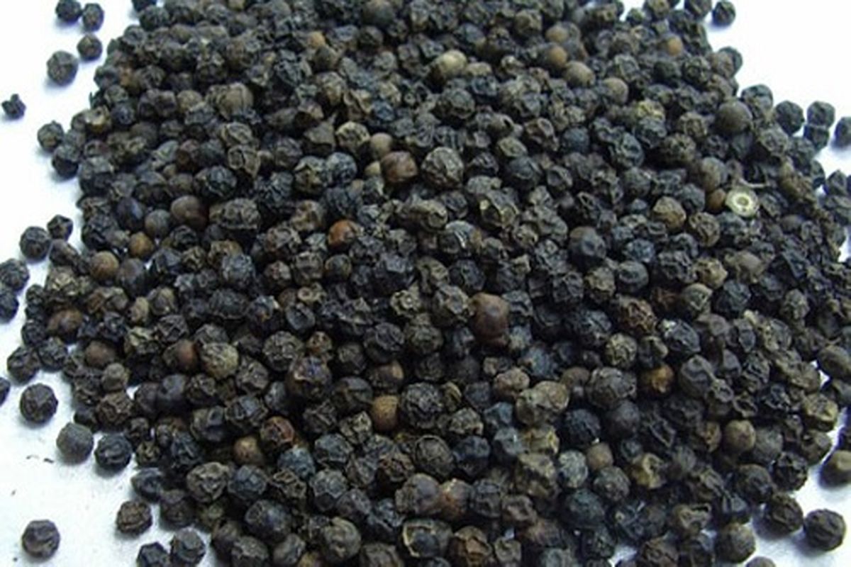 خاصیت‌ مهم این گیاه خرد کردن سنگ کلیه و سنگ مثانه است
