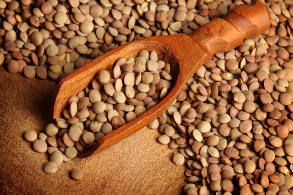خواص عدس در سلامت انسان