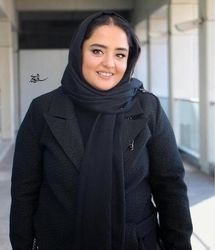 ماجرای دستگیری نرگس محمدی بخاطر شوهای گوگوش/ فیلم