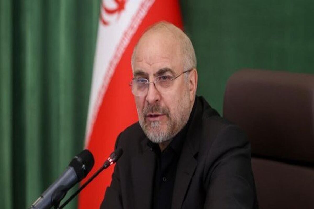 واکنش رئیس مجلس شورای اسلامی به شهادت مرزبانان در سراوان
