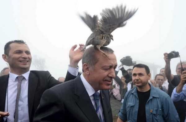 حال اردوغان وخیم شد