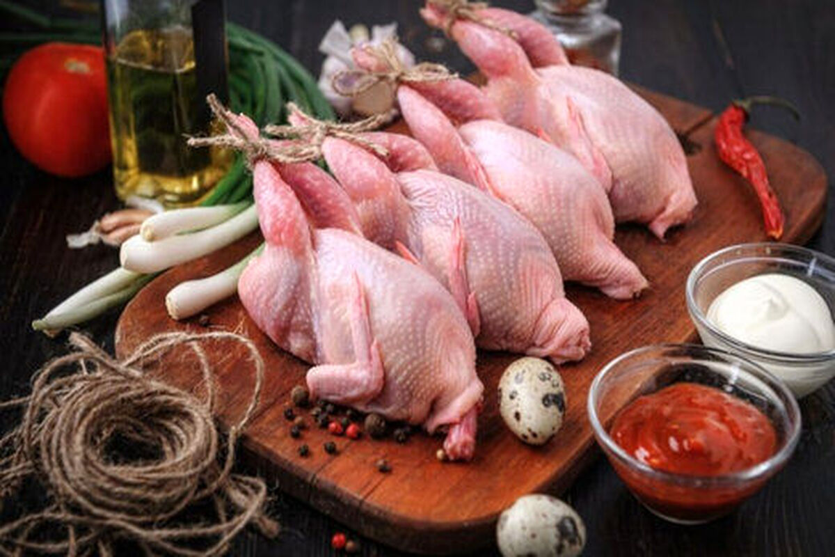 خواص شگفت‌انگیز گوشت این پرنده برای بدن انسان