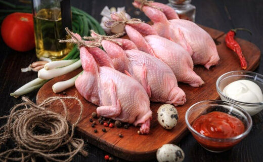 خواص شگفت‌انگیز گوشت این پرنده برای بدن انسان