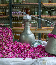 ثبت ملی یک جشنِ معطر در بانه