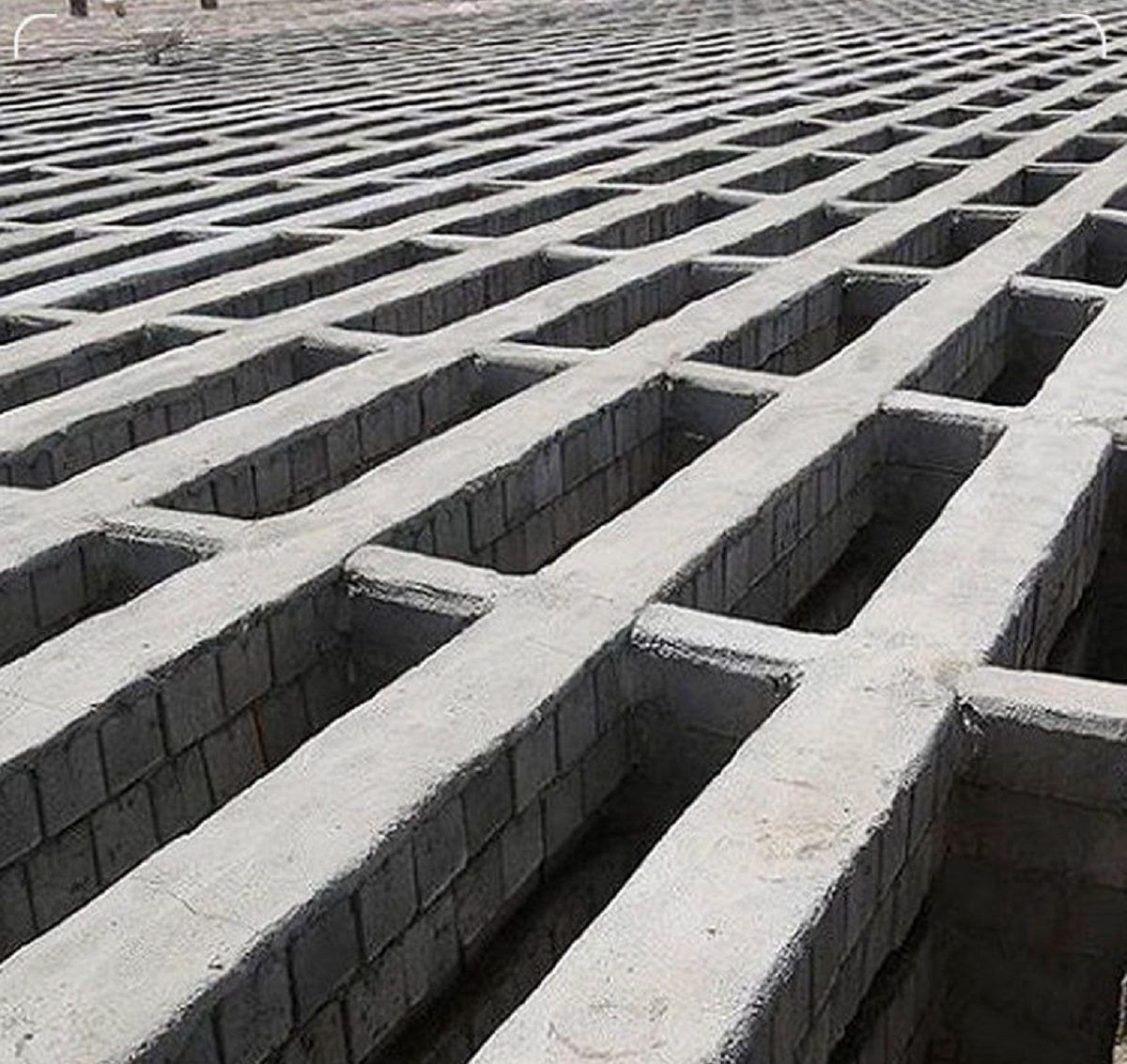 مراسم خاکسپاری سینا قائمی و لطیف آیودله در مسجد لندن/ متهم به قتل سکوتش را شکست؛