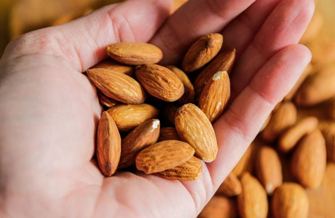 ۶ روش آسان برای جذب پروتئین بیشتر را یاد بگیرید!