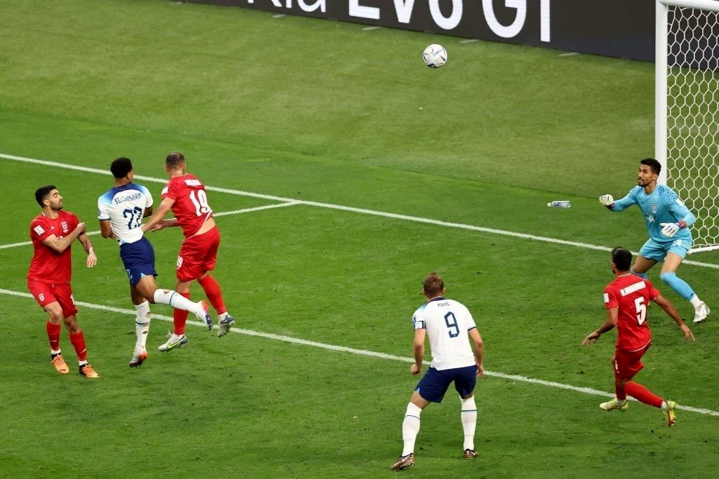 شکست ناباورانه و تلخ یوزها در مقابل شیرها